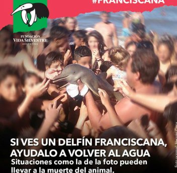 Plakát Fundación Vida Silvestre Argentina - Agentinského fondu na ochranu přírody - klikněte pro zobrazení detailu