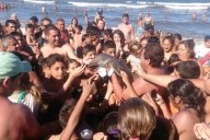 Lidská touha po 'užasném selfíčku' zabila delfína : Co byste dělali, kdybyste u moře na mělčině…