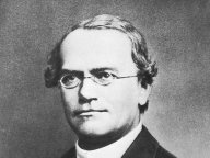 Jak se Gregor Johann Mendel málem nestal otcem genetiky: Dnes je tomu 200 let, co se v Hynčicích narodil…