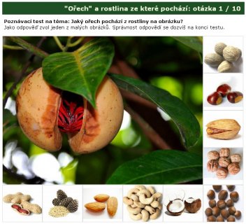 Poznávačka Ořechů a stromů ze kterých pochází - klikněte pro zobrazení detailu