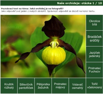 Poznávačka: naše orchideje - klikněte pro zobrazení detailu