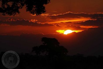 Západ slunce nad Serengetti - klikněte pro zobrazení detailu