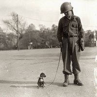 Voják z druhé světové války - klikněte pro zobrazení detailu