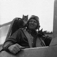Pilot z druhé světové války - klikněte pro zobrazení detailu
