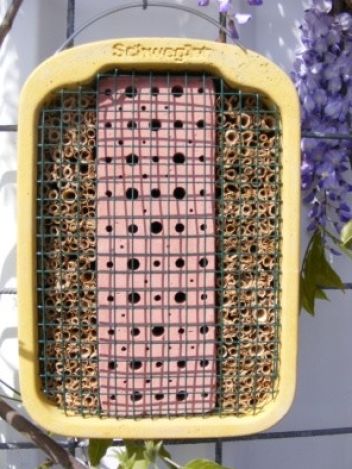 domeček pro samotářky s pletivem - klikněte pro zobrazení detailu domeček pro samotářky s pletivem - klikněte pro zobrazení detailu