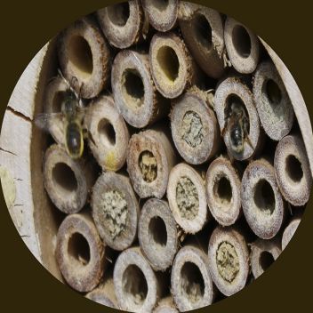 domeček pro samotářky 5 - klikněte pro zobrazení detailu domeček pro samotářky 5 - klikněte pro zobrazení detailu