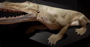 Ambulocetus - klikněte pro zobrazení detailu Ambulocetus - klikněte pro zobrazení detailu