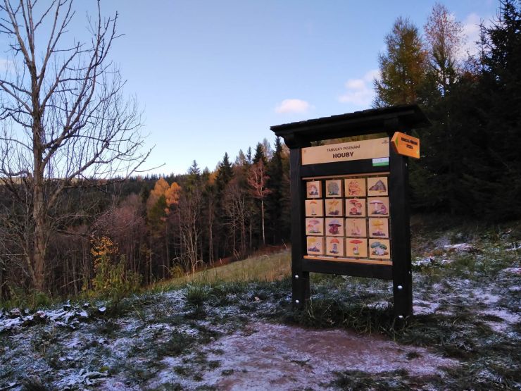 zobrazit detail snímku: Odpočinkové místo na Benecku