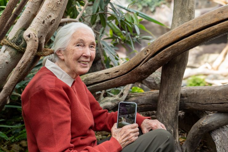 zobrazit detail snímku: Jane Goodall v Praze 