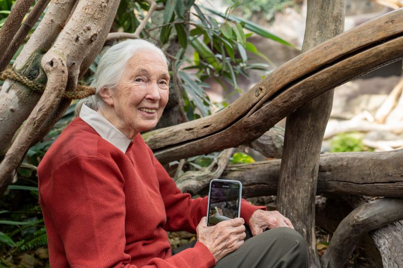 Jane Goodall v Praze  - klikněte pro zobrazení detailu