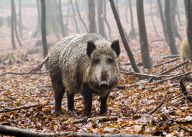Hrdinové seriálu Planeta Evropa Hrdinové seriálu Planeta Evropa