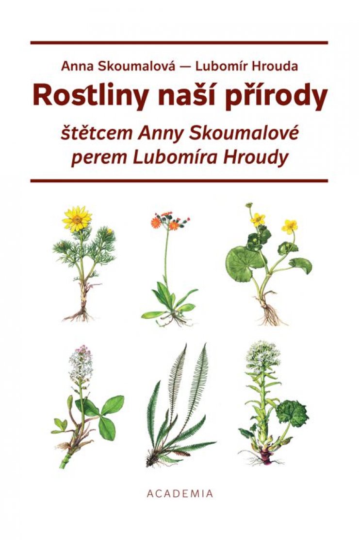 zobrazit detail snímku: Obálka knihy Rostliny naší přírody...
