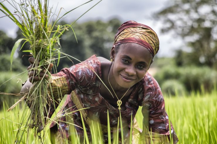 zobrazit detail snímku: Afričanka na poli