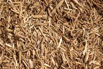 Agarové dřevo - klikněte pro zobrazení detailu Agarové dřevo - klikněte pro zobrazení detailu