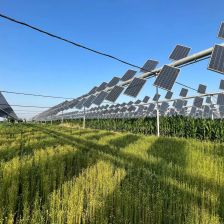 Zas o něco zelenější solární energie Zas o něco zelenější solární energie