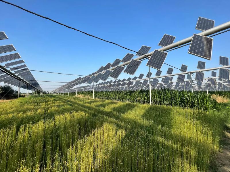 Agrovoltaika - klikněte pro zobrazení detailu Agrovoltaika - klikněte pro zobrazení detailu