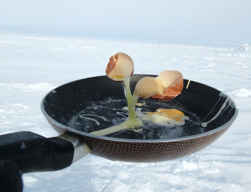Vajíčka na jižním pólu. - klikněte pro zobrazení detailu