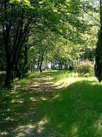 V arboretu - klikněte pro zobrazení detailu