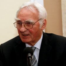 Prof. Ing. Armin Delong, DrSc.