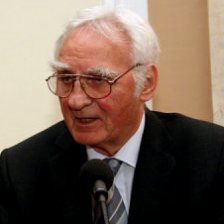 Prof. Ing. Armin Delong, DrSc.