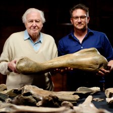 Attenborough a pohřebiště mamutů.