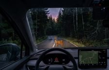 Hraje tichý chod elektromobilu roli v riziku srážky se zvěří?
