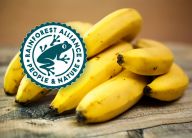 Odhalené spiknutí o Rainforest Alliance a hmyzu v potravinách aneb skutečný význam loga se zelenou žabičkou: Internet je úžasná věc. Může sloužit ke…