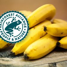 Banány a logo Rainforest Alliance
