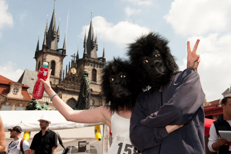 zobrazit detail snímku: Běh pro gorily 2010