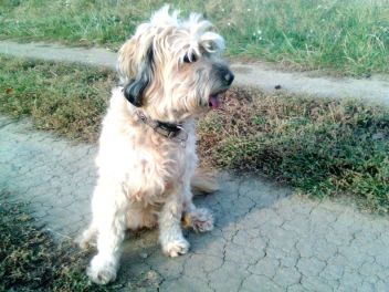 Bella - klikněte pro zobrazení detailu