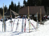 Výběr běžeckých lyží, bot, hůlek a jejich údržba: Chystáte se si pro letošní zimu pořídit nové...