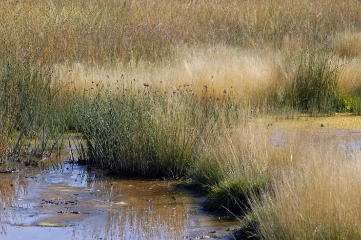 zobrazit detail snímku: Rezervace Soos