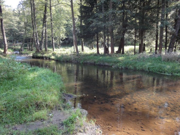 zobrazit detail snímku: Kytlice