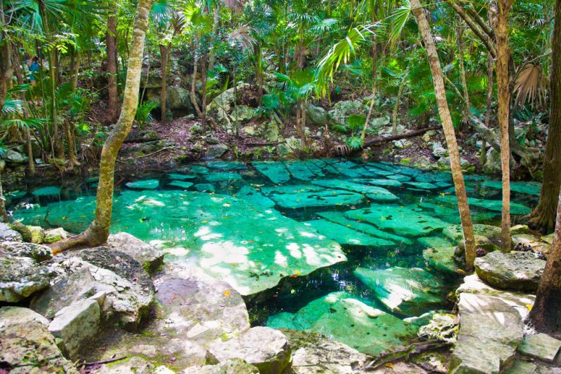 Mexiko - Cenotes 3 - klikněte pro zobrazení detailu