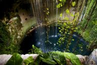 Cenotes – vstup do mayského podsvětí i vyhledávaná turistická atrakce : Yucatánský poloostrov je nejen posetý množstvím…