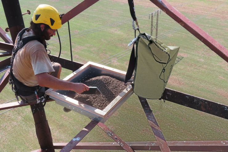 zobrazit detail snímku: Instalace hnízdní podložky pro raroha
