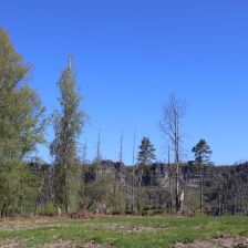 České Švýcarsko - kousíček nad Meznou