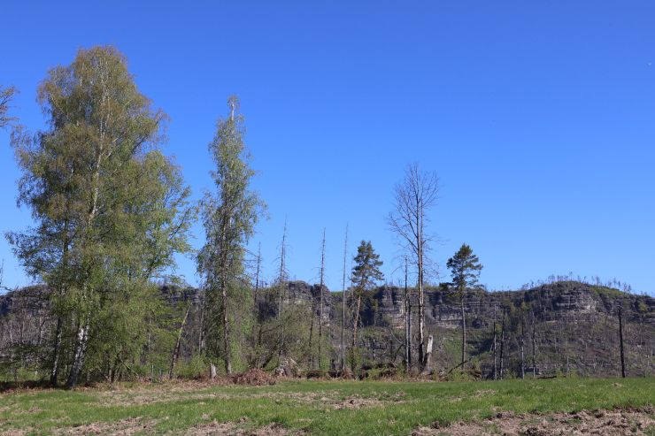 zobrazit detail snímku: České Švýcarsko - kousíček nad Meznou