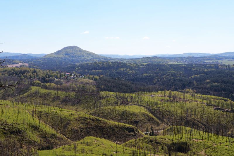 České Švýcarsko - To zelené není tráva, ale břízy - klikněte pro zobrazení detailu