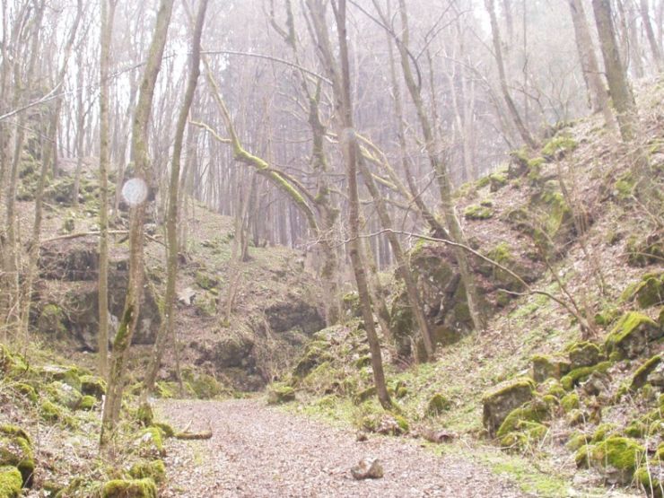 zobrazit detail snímku: Cesta do Obrovišť