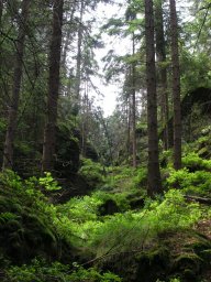 Tokáň a výlety Česko-saským Švýcarskem: Tokáň - ideální výchozí bod pro výlety…