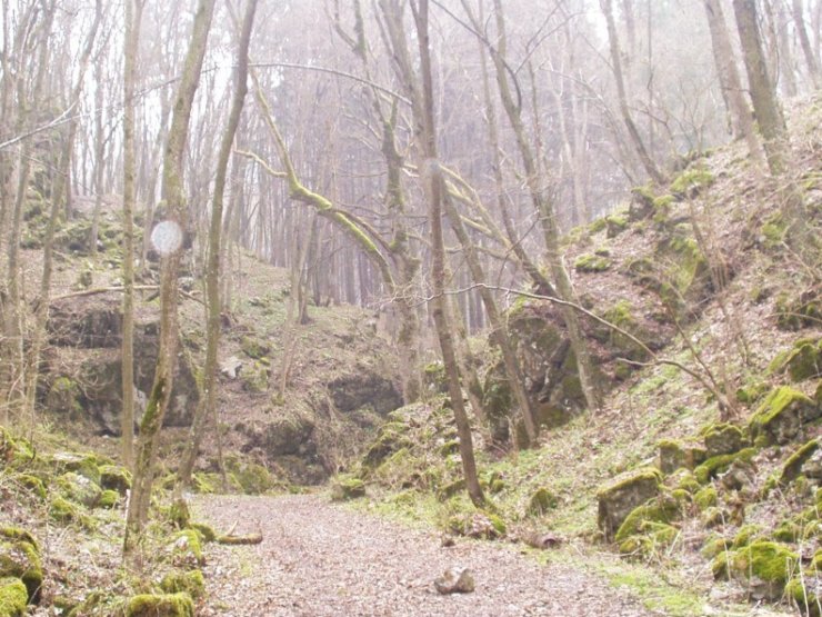 zobrazit detail snímku: Cesta do Obrovišť