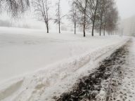 Proč je lepší před hlášenou ledovkou neuklízet sníh z cest?: S prvními zprávami o blížící se ledovce se sociální…