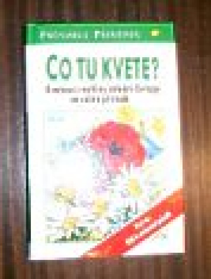 zobrazit detail snímku: Co tu kvete? - Průvodce přírodou