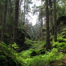Kyjovské údolí