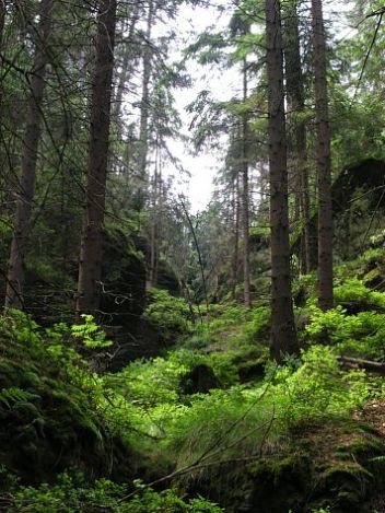 Kyjovské údolí - klikněte pro zobrazení detailu Kyjovské údolí - klikněte pro zobrazení detailu