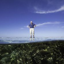 David Attenborough