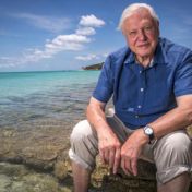 David Attenborough 100 letá legenda přírodovědy, která přišla se žlutými tenisáky