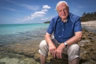 David Attenborough 100 letá legenda přírodovědy, která přišla se žlutými tenisáky David Attenborough 100 letá legenda přírodovědy, která přišla se žlutými tenisáky: Málokterá osobnost formovala náš pohled na planetu…