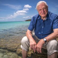 David Attenborough